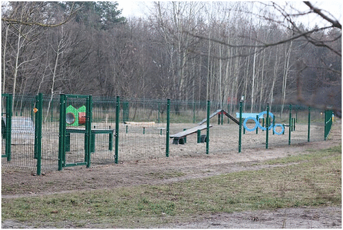 “My dog and I, we need the park”: more-than-human agency and the emergence of dog parks in Poland, 2015–2020