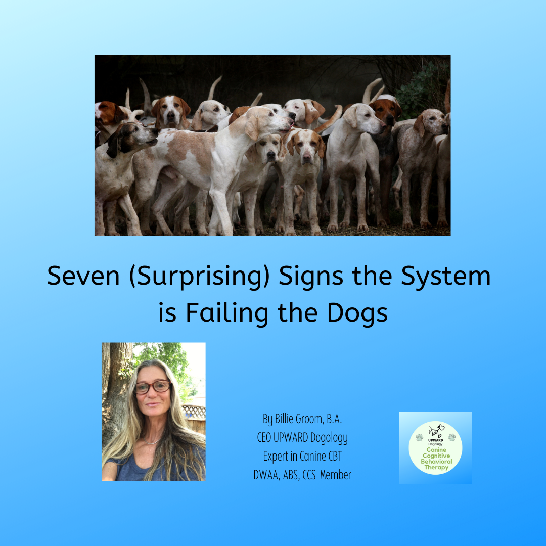 Seven (Surprising) Signs the System is Failing the Dogs