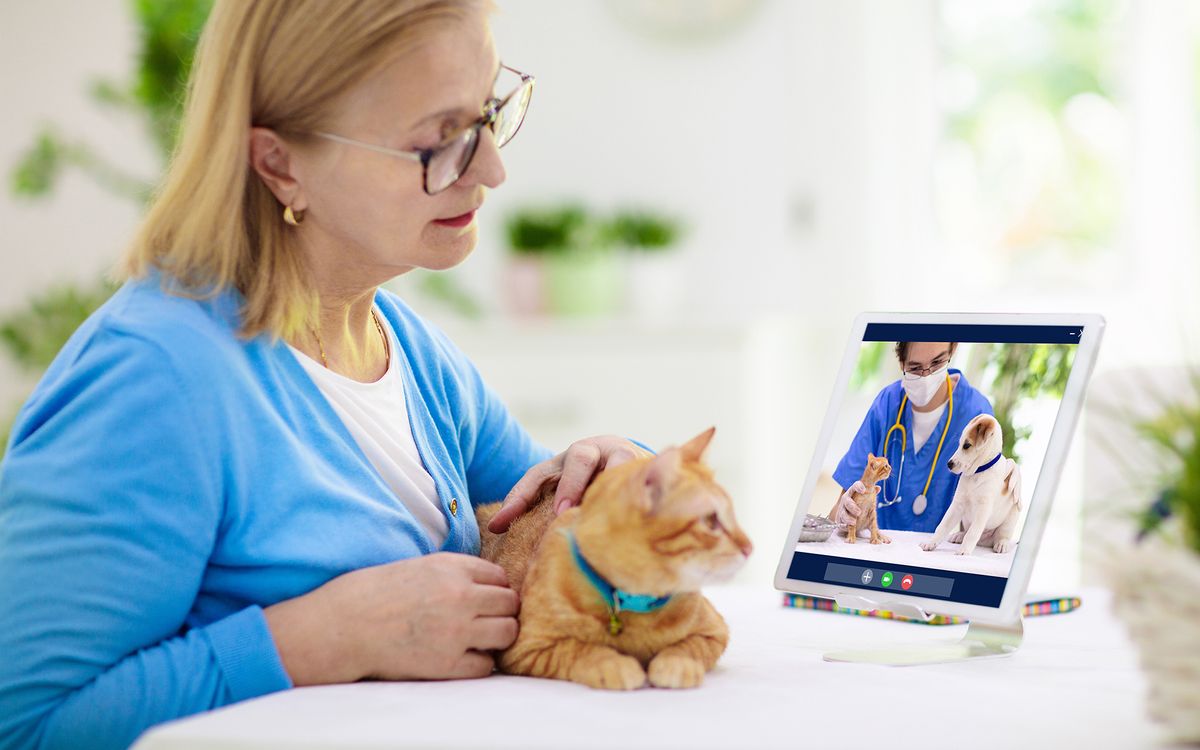 The Importance of Veterinary Telehealth