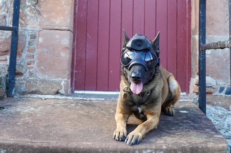 Turning police dogs into robodogs.