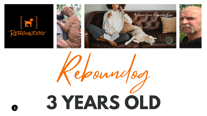Reboundog is 3 years old!