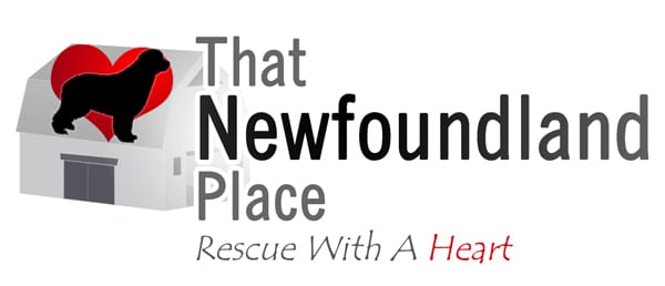Highlights From the First TNP Open House of 2025