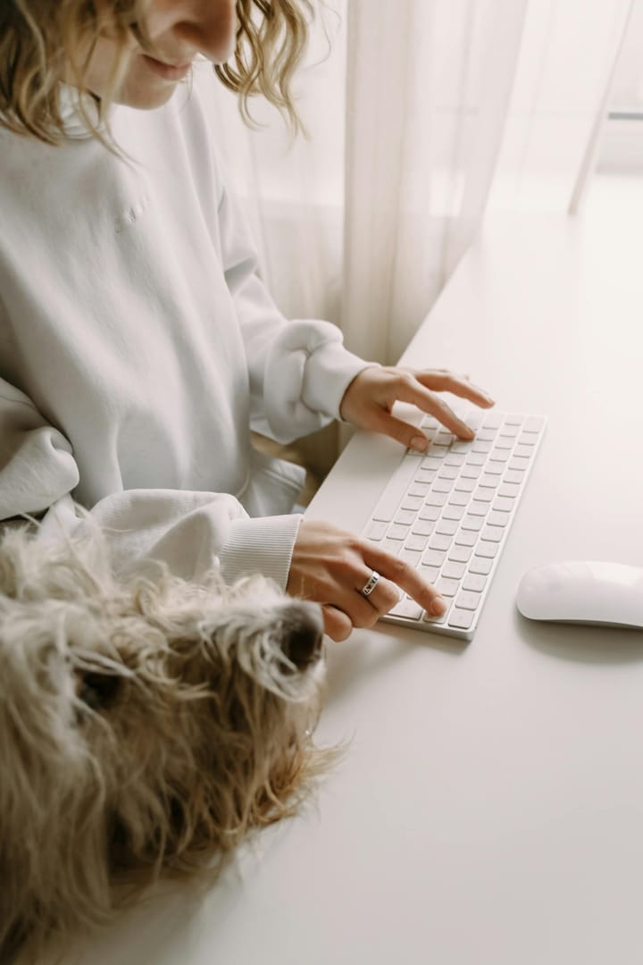 Not Just Another Partnership: Reboundog’s Approach to Collaboration with Soul